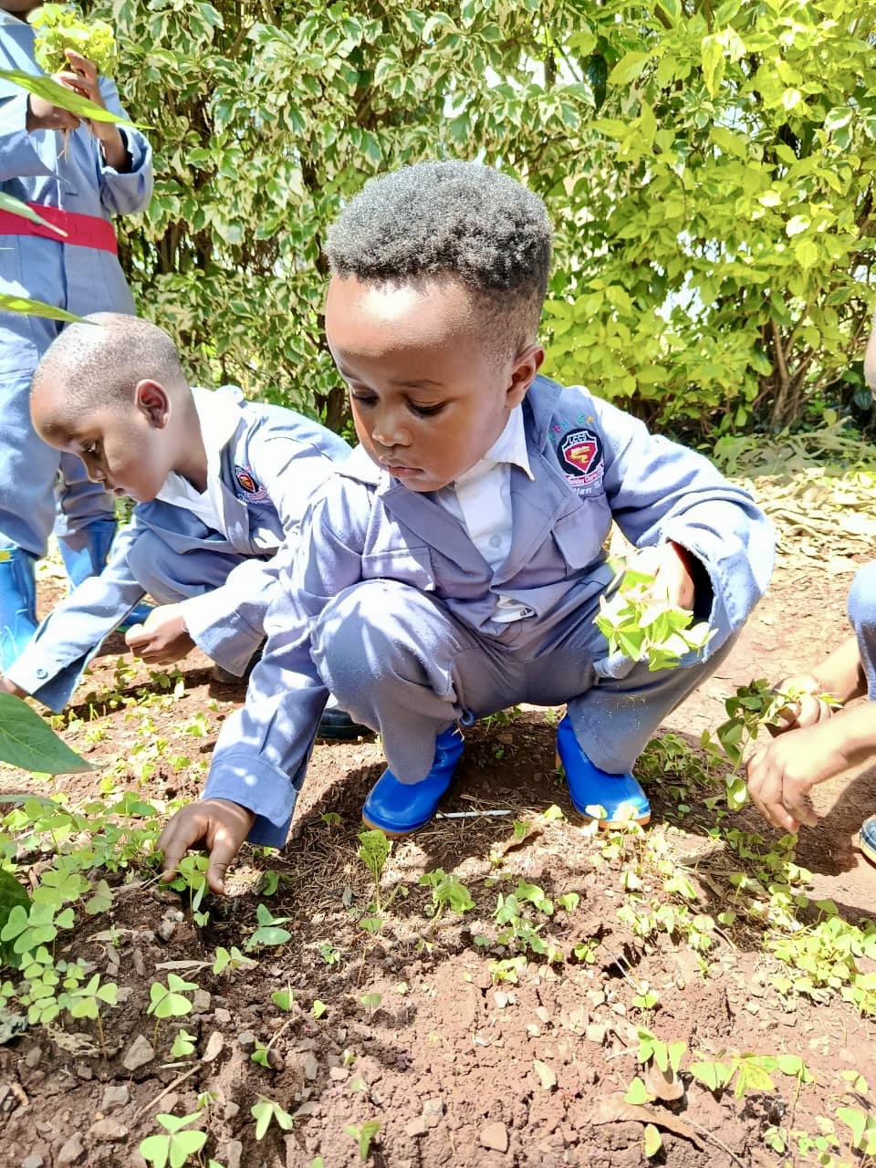 Gardening